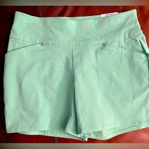 Inc Shorts Size 2